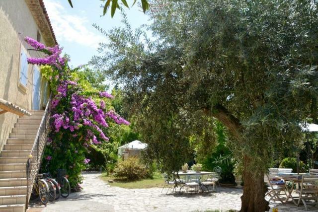 La Gandonne Hotel Caderousse Exterior photo